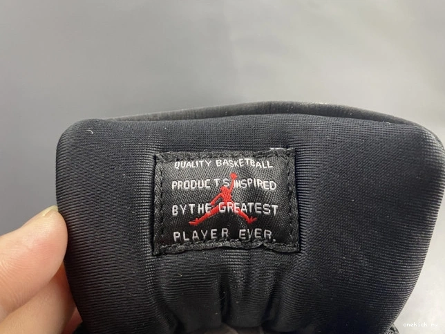 Rep Onekick JORDAN 11 INSTINCT AR0715-010 AIR ANIMAL 0727